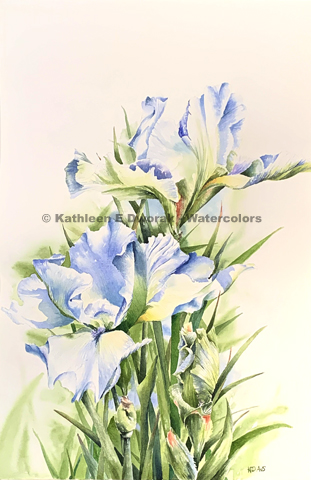 Blue and Yellow Irises