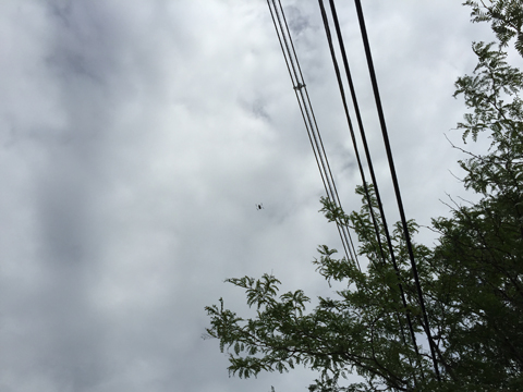 Drone