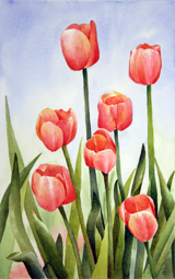 Heather's Tulips