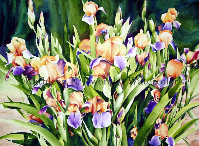 Purple and Yellow