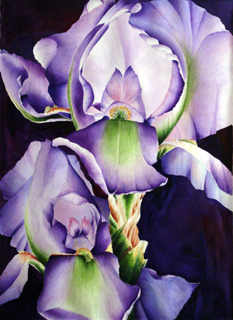 Up Close and Purple